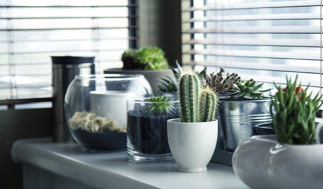 Üstün Cam Balkon